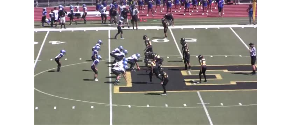 Jr Hornets in action